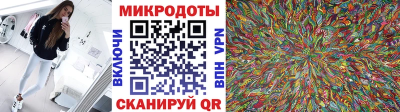 закладка Рязань omg маркетплейс Галлюциногенные грибы Psilocybe